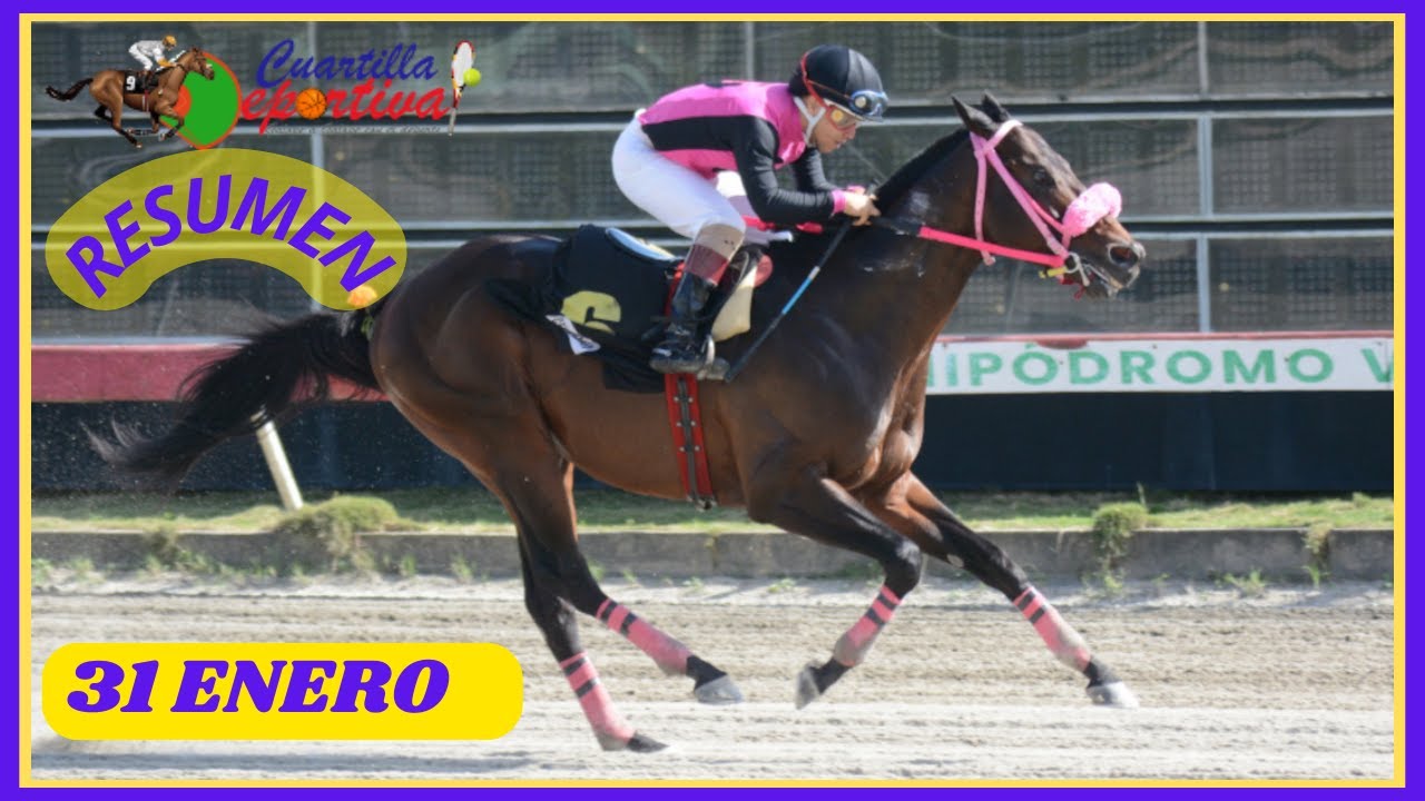 ✅RESUMEN 📽 sábado 31 ENERO 20256 carreras caballos🏇 en el V Centenario💰