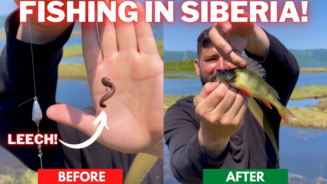 American In Siberian Russia Fishing | превращение пиявки в рыбу