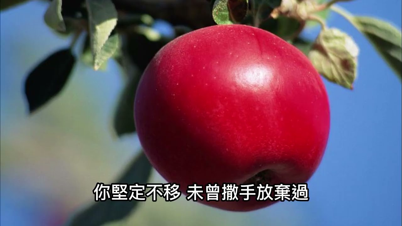 佛曲 如來 演唱：林穎芷 作詞：沈明信 作曲：彭學斌