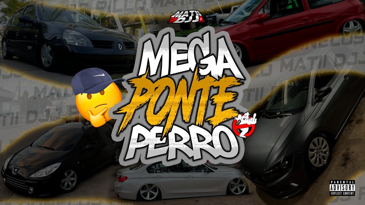 MEGA PONTE PERRO🤪 - MATII DJJ