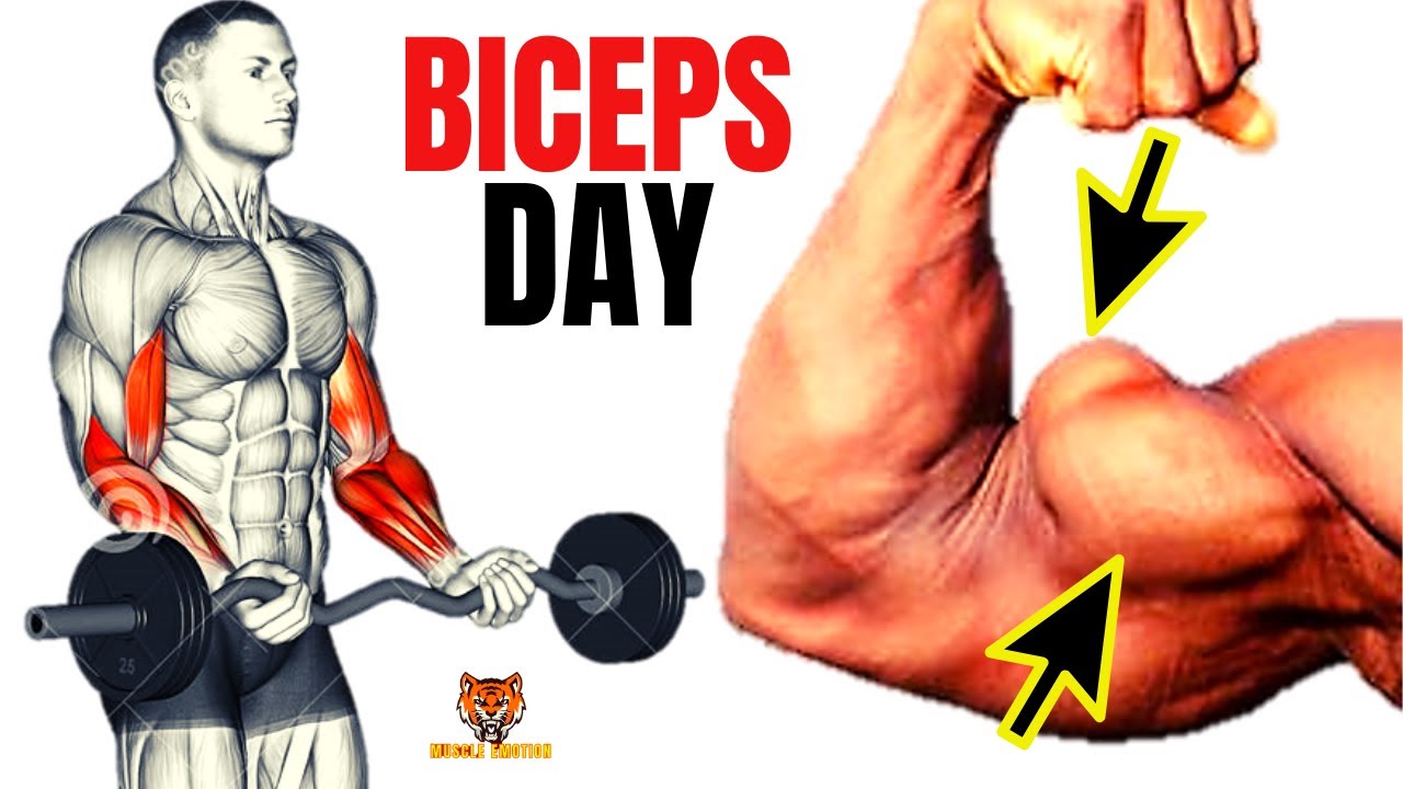 13 BICEPS EXERCISES WITH BARBELL ONLY / Musculation biceps avec barre