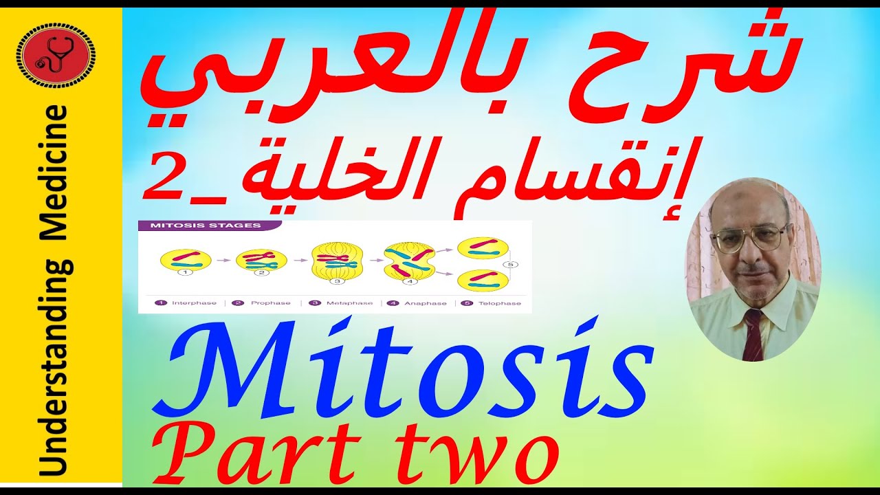 The cell cycle and cell division_ Part Two     شرح بالعربي:انقسام الخلية _الجزء الثاني