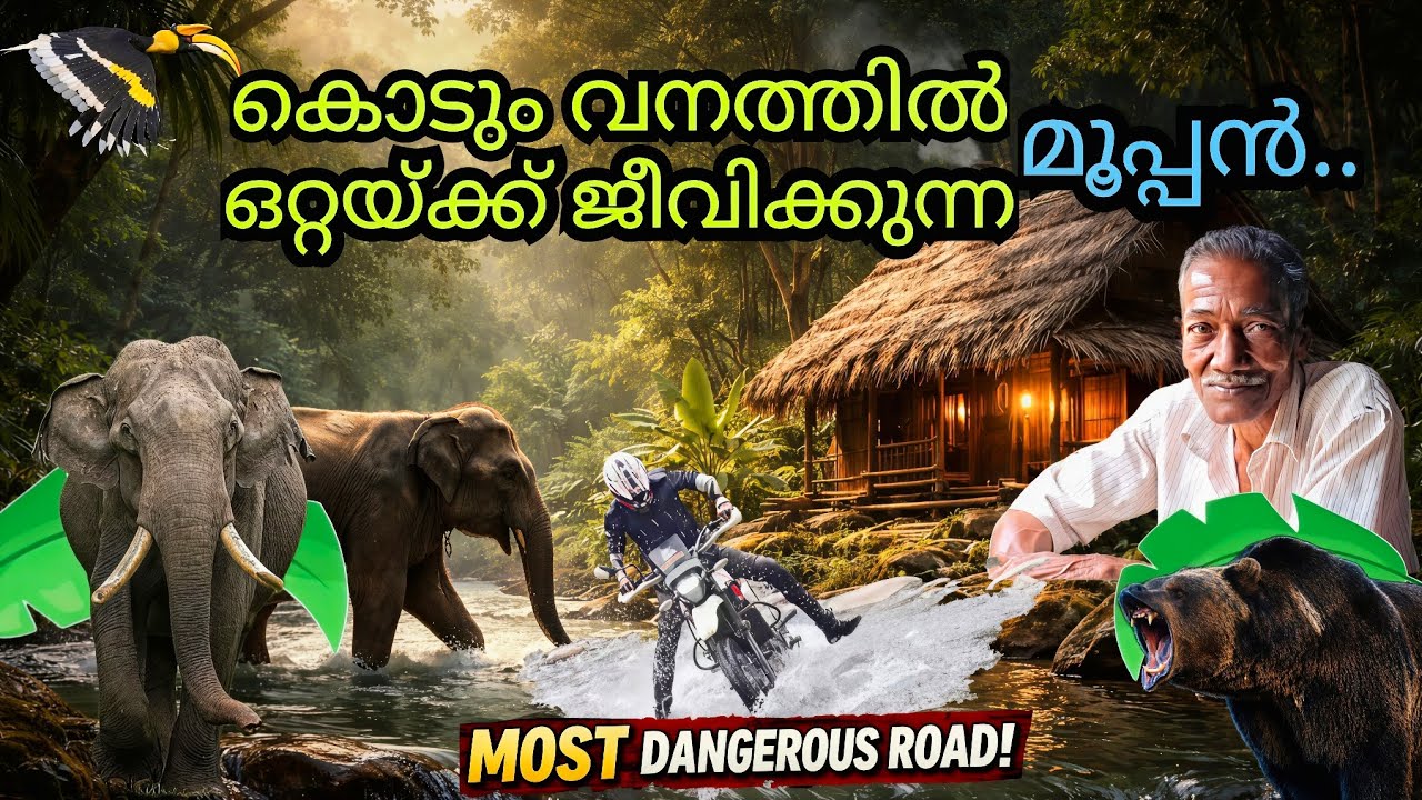 കൊടുംകാട്ടിൽ വർഷങ്ങളായി ഒറ്റയ്ക്ക് ജീവിക്കുന്ന മൂപ്പൻ.. real Jungle Man 🔥