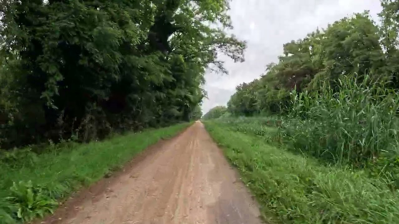 EuroVelo 6, France, part 2: Rosenau to Landau