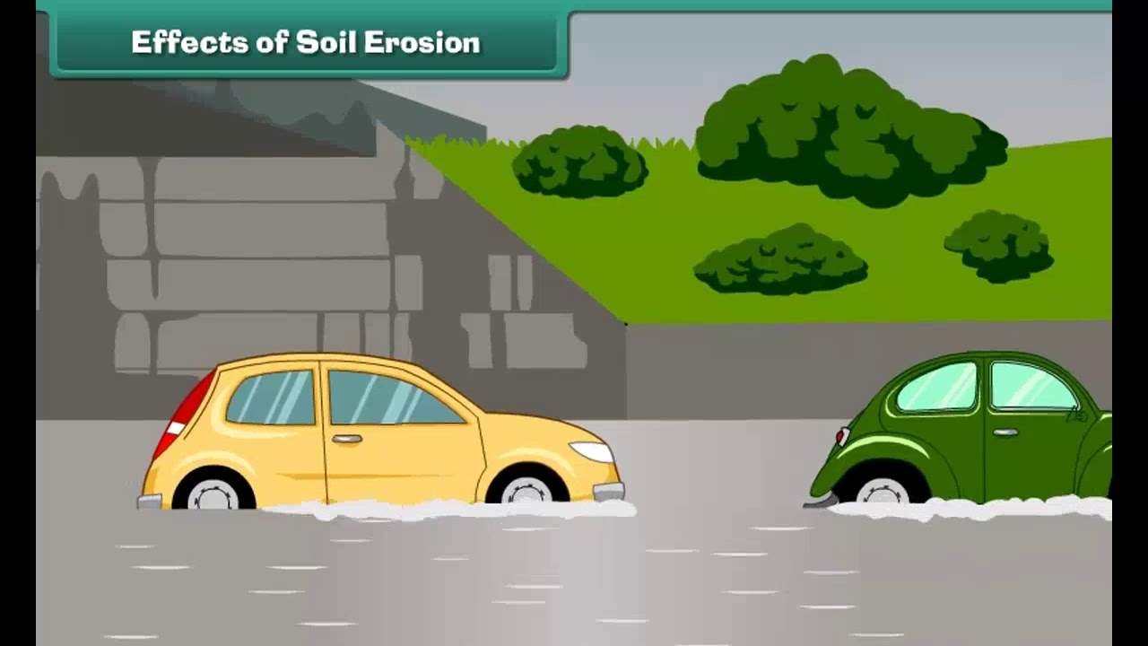 Class 5 EVS - Soil Erosion and Conservation | Science | CBSE