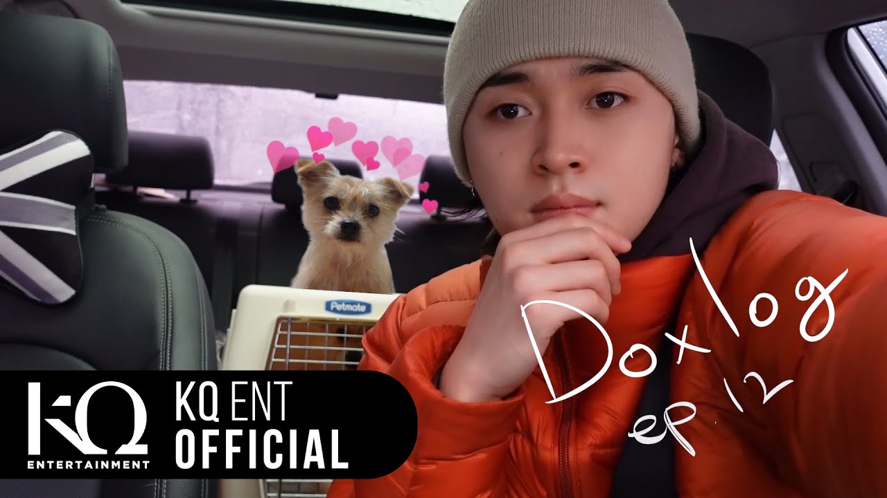 Maddox(마독스) - DOXLOG EP.12ㅣ독스네 새 식구 조이 입양기