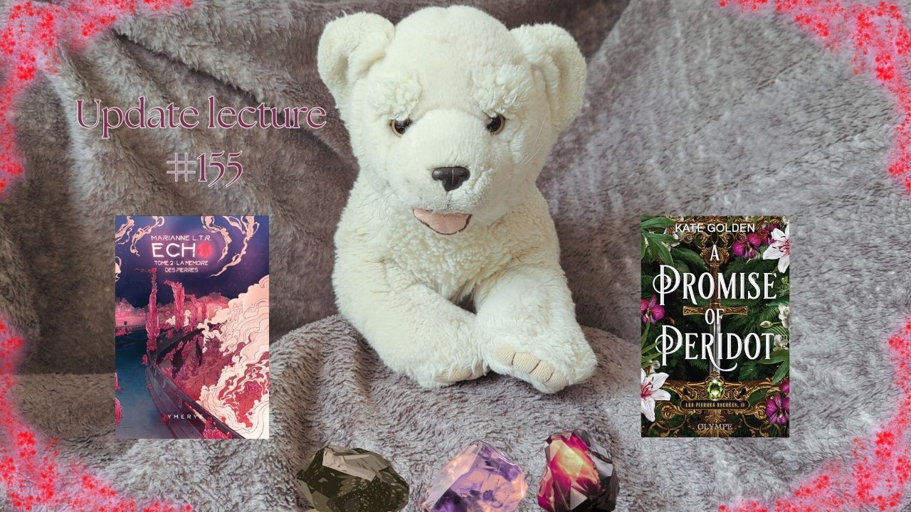 Update lecture #155 💎 Echo Tome 2, 🚫 un abandon et Les pierres sacrées Tome 2 🗡️