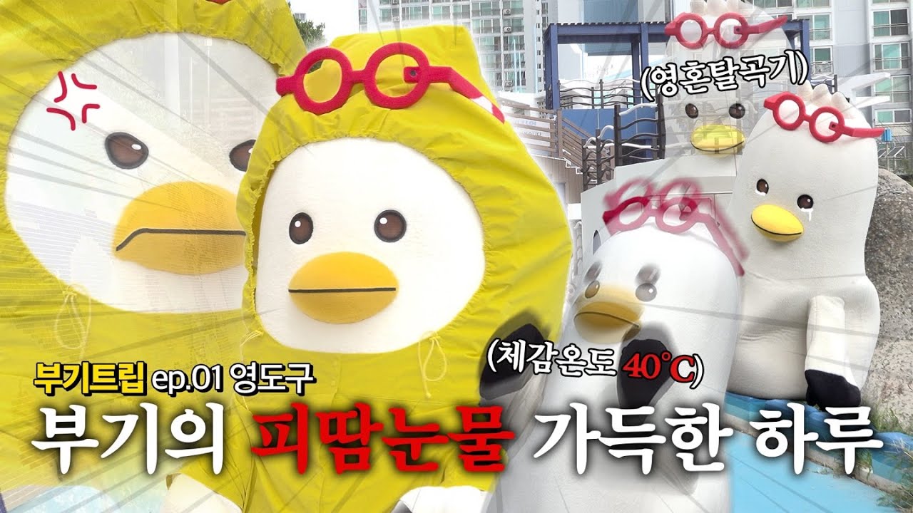 [부기트립] 계획대로 되는 게 하나도 없는 부기의 (망한) 영도 여행 ep.01