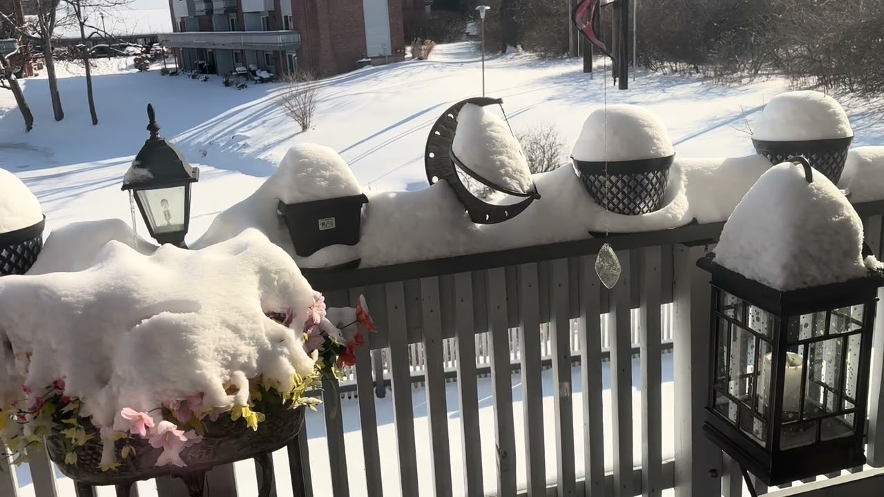 Breakfast chit chat snow Storm #youtube #weatherforecast 