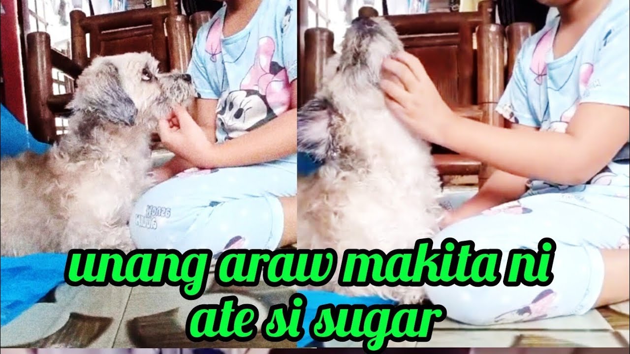 Unang araw makita ni ate si sugar @Pinoykatvofficial 