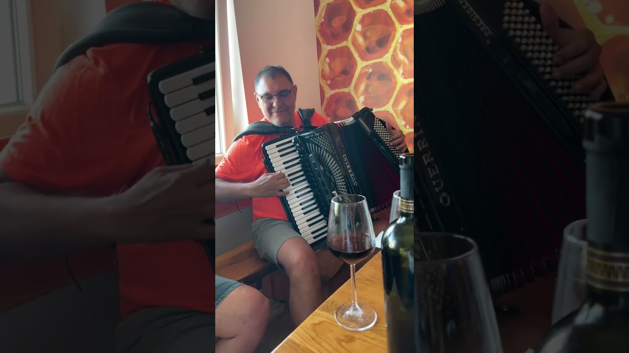 Guerrini President Maestro Bane Vasic