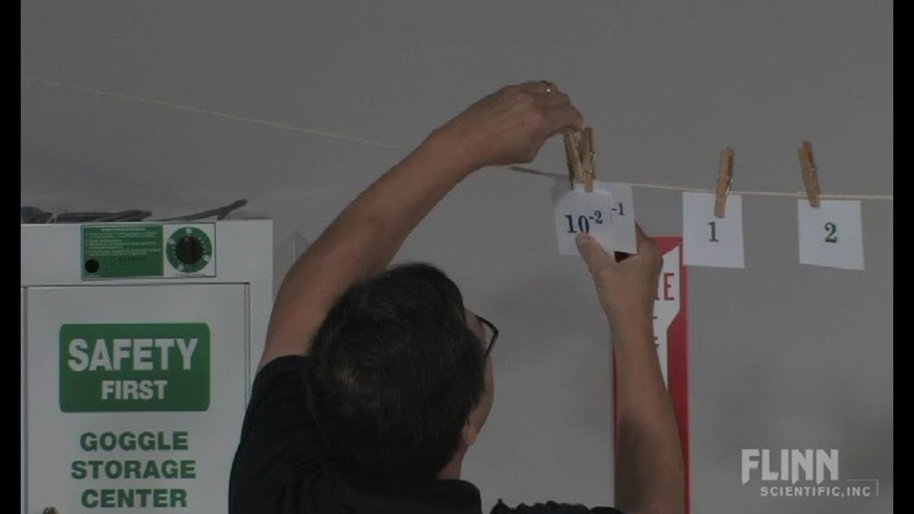 The Number Line