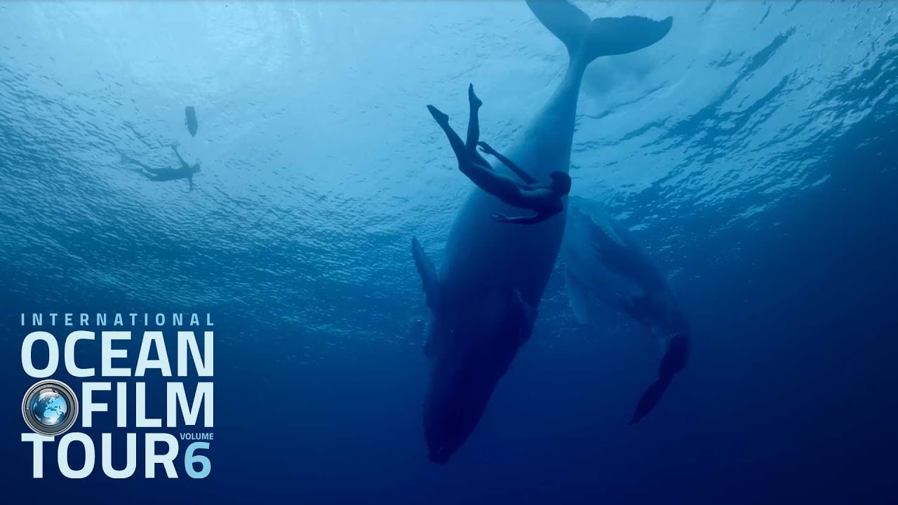 International OCEAN FILM TOUR Volume 6 | Official Trailer