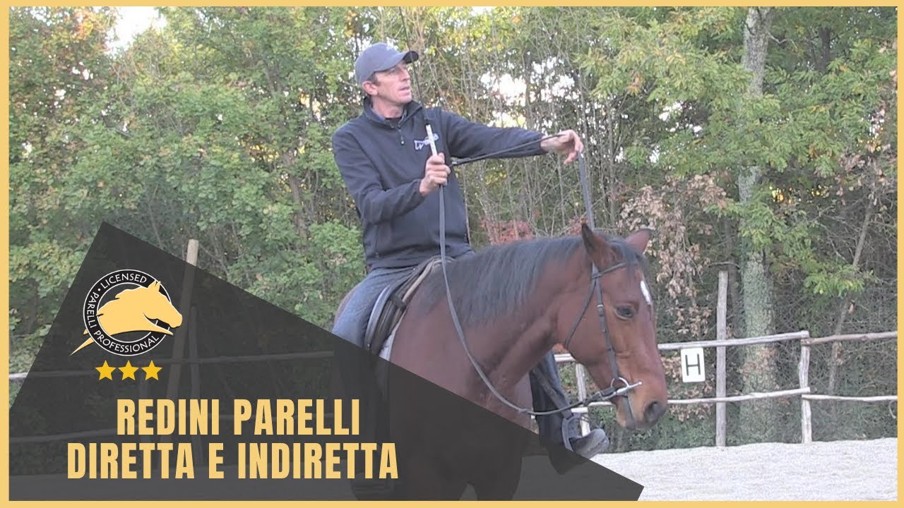 Le redini Parelli: diretta e indiretta. A cosa servono e perchè