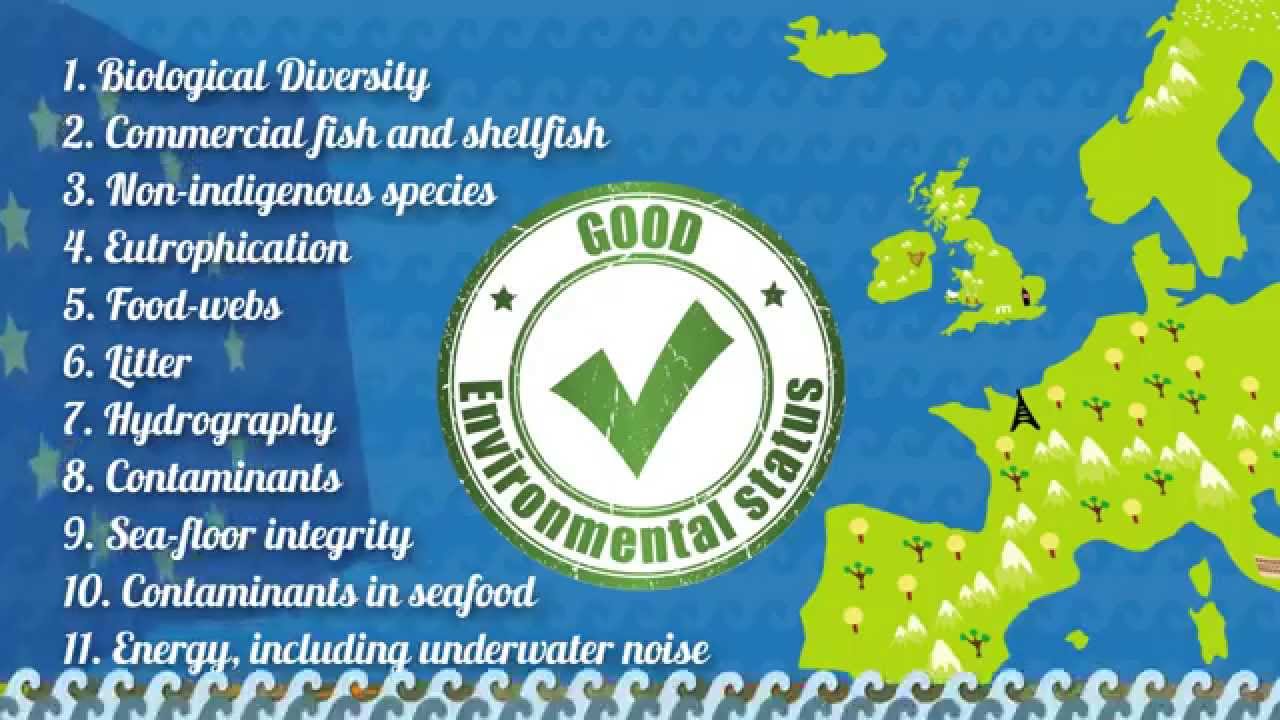 Welsh Government - The Marine Strategy Framework Directive - English