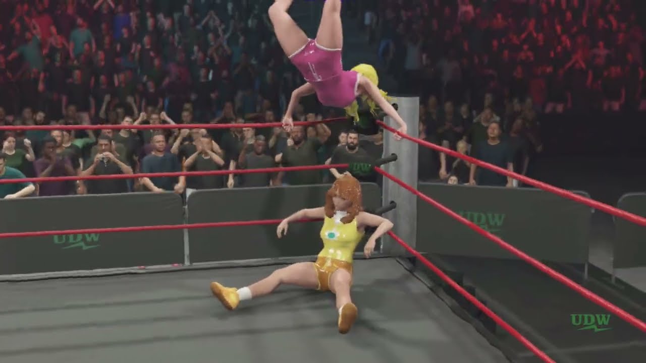 Princess Peach vs. Princess Daisy (Request)