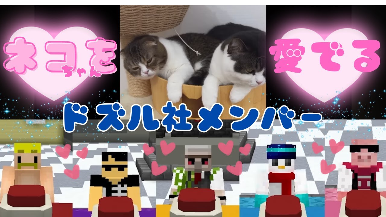 【ネコおじ王】実写ぽこうまにメロメロなドズル社メンバーこちらです！