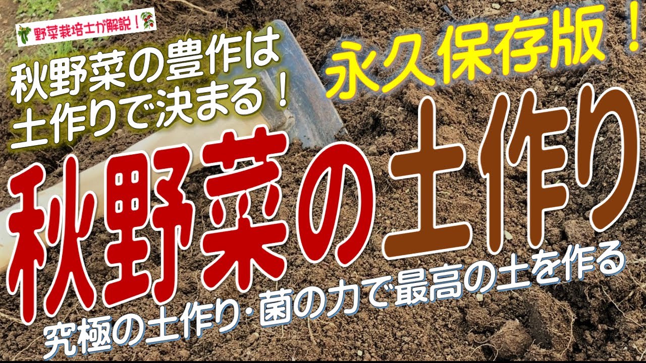 秋野菜の土作り（夏の土作りで秋野菜の収穫量が劇的にアップする！）夏の畑作りの基本とポイントを詳しく解説