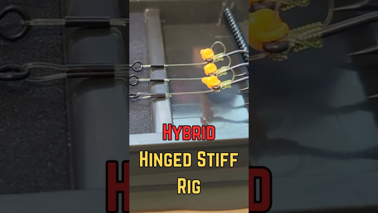 Hybrid Hinged Stiff Rig - Weed? NO PROBLEM! #carpfishing #carprigs #carp #fishing