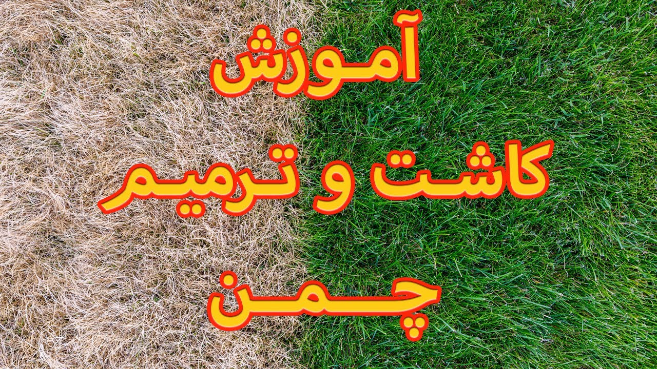 Sowing Lawn - آموزش کاشت و ترمیم چمن