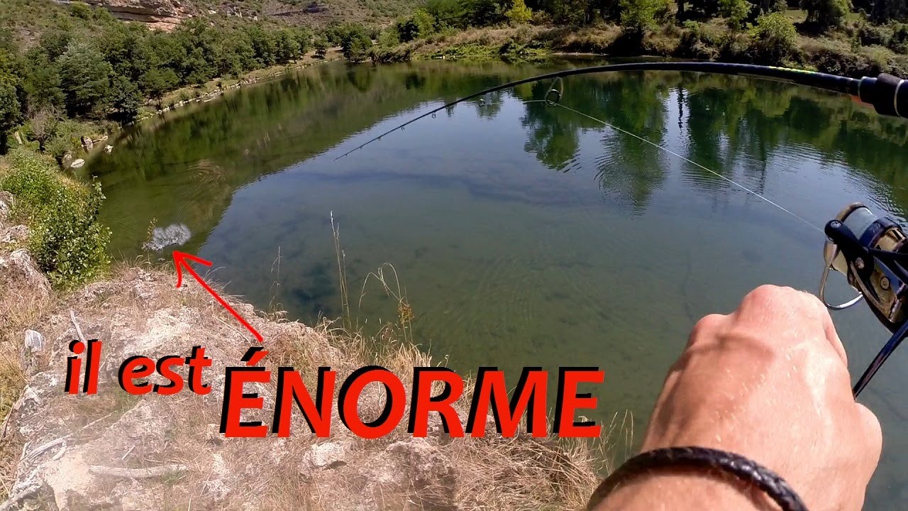 P&Ecirc;CHE AU LEURRE DE SURFACE EN EAU ULTRA CLAIRE!