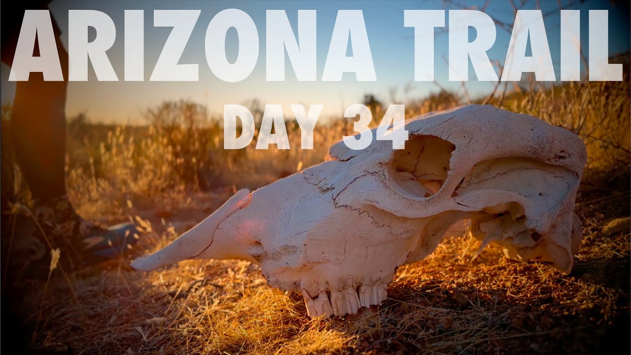 Day 34 | Trail Magic | Arizona Trail 2024 SOBO Thru Hike