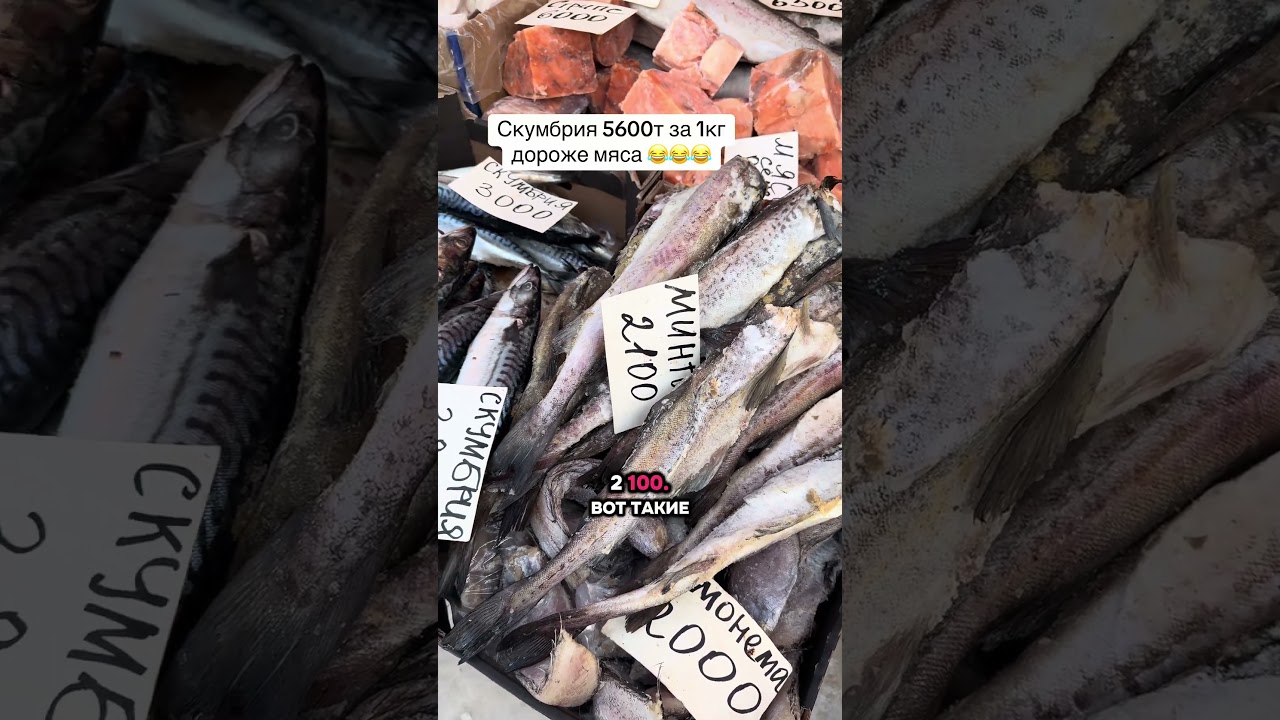 #скумбрия #селедка