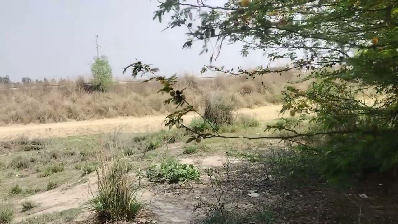 #minivlogs