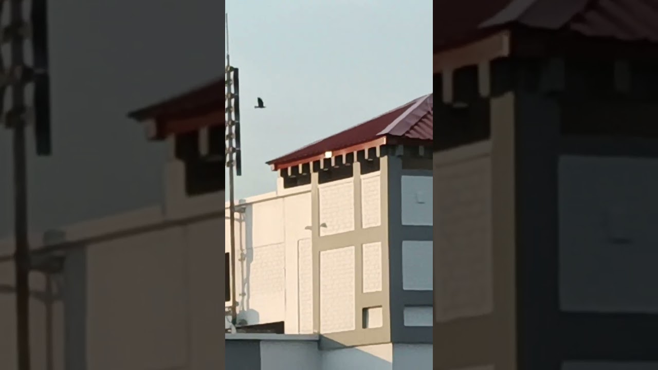 Singapore SCDF Siren Important Message Signal (Skip to 0:49)