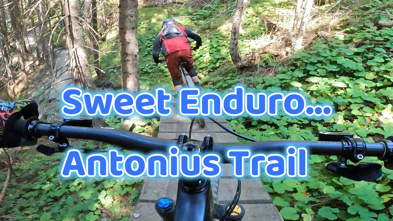 Antonius Trail L4 Into 