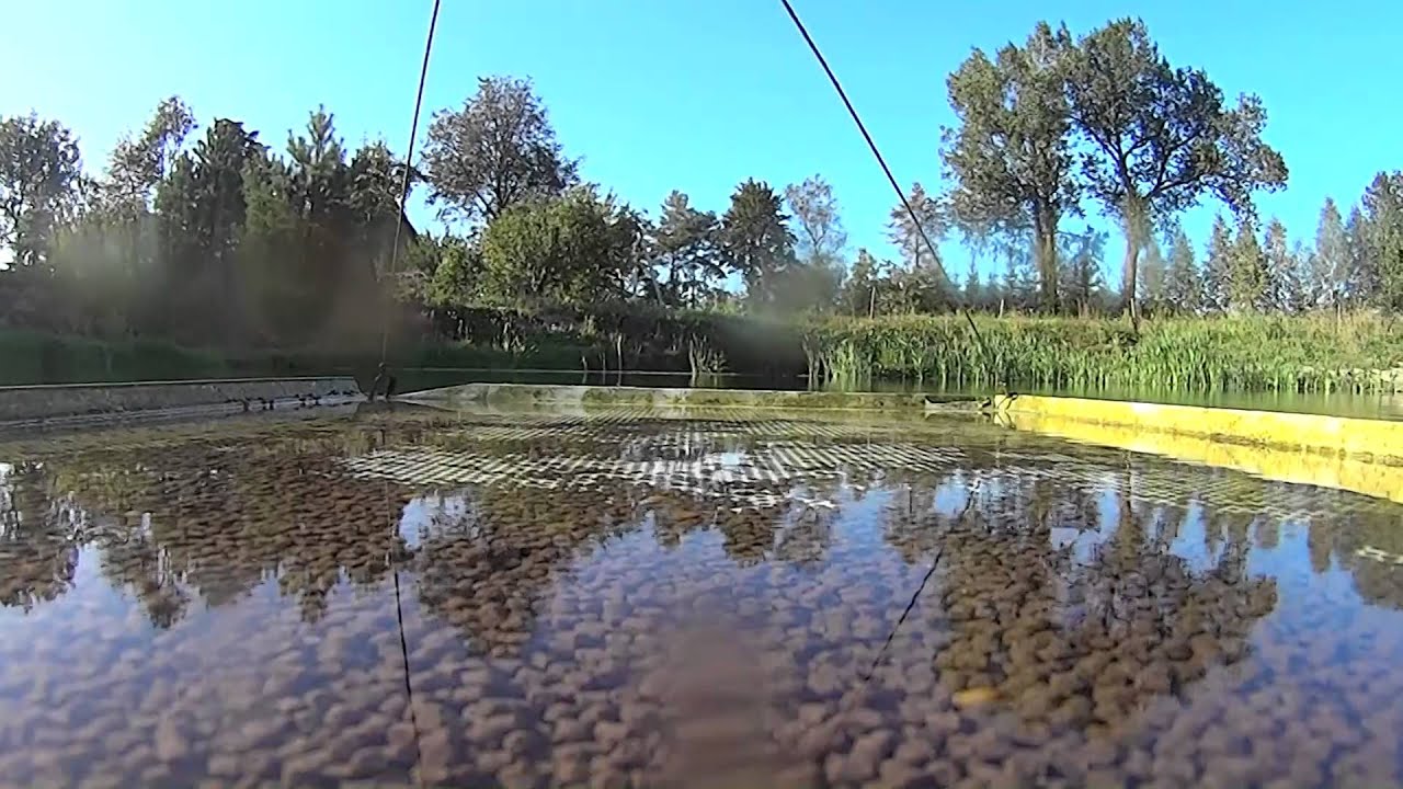 Mano upėtakių gyvenimas dugne.