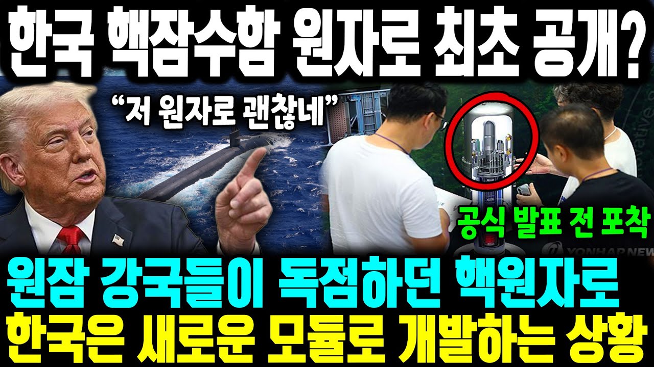 한국이 극비리에 숨겨뒀던 한국형 핵잠수함 원자로 최초 공개?, 원잠개발? 이미 끝났다는 말 도는 이유 ㅣ 원자로보다 핵심은 제어 기술, 소음을 원천 봉쇄하는 한국식 핵원자로 개발