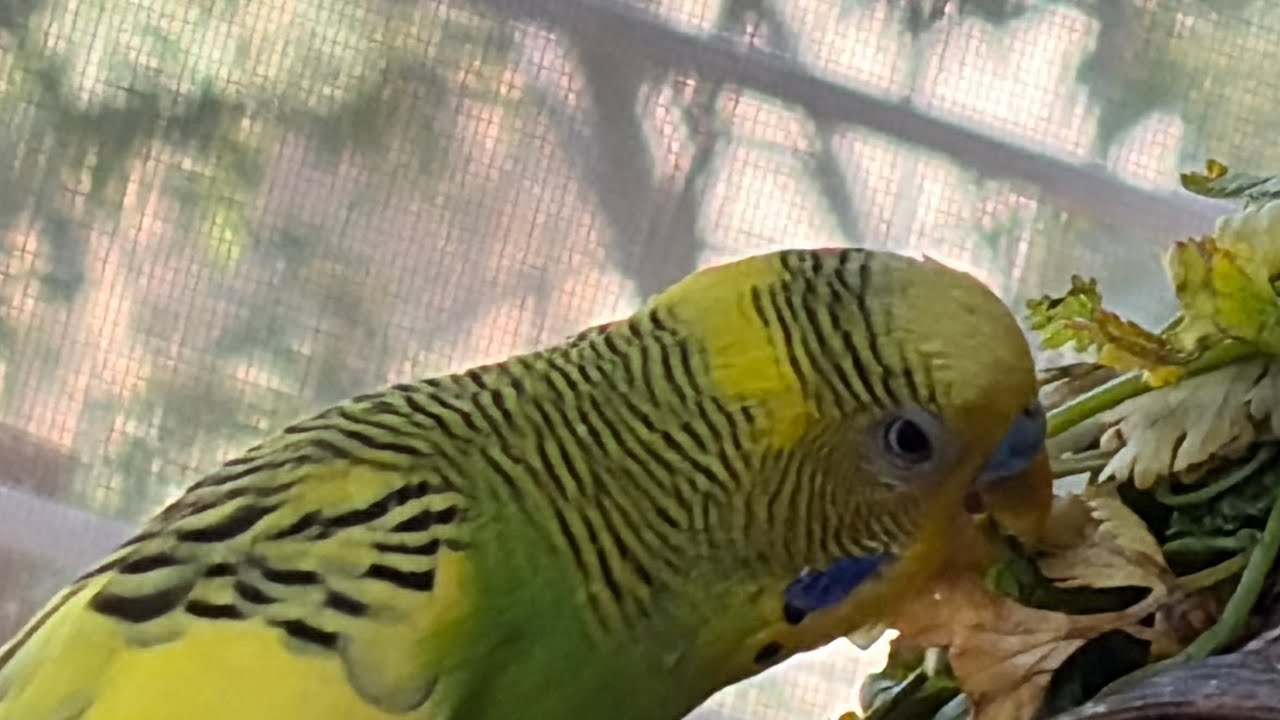 😍😍