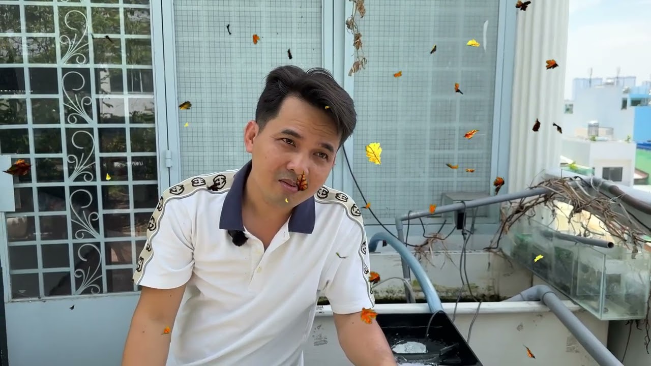 Mẹo vặt và những vấn đề khi pom cá
