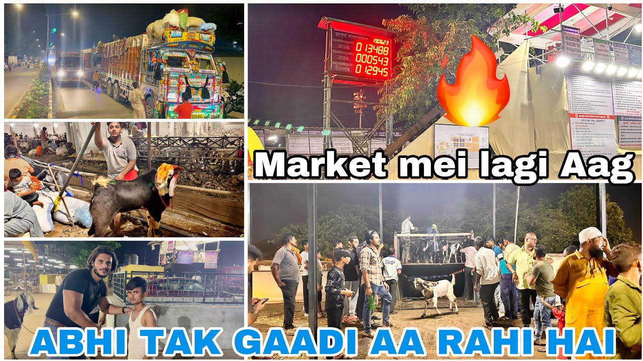 Deonar bakra mandi late night vlog || Day 1 ||