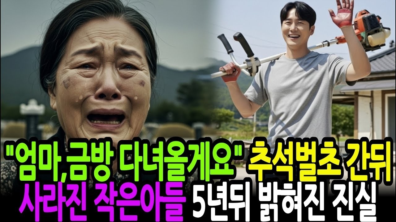 추석 벌초하러 간뒤 사라진 작은아들, 5년뒤 밝혀진 충격적 진실  라디오사연 오디오북