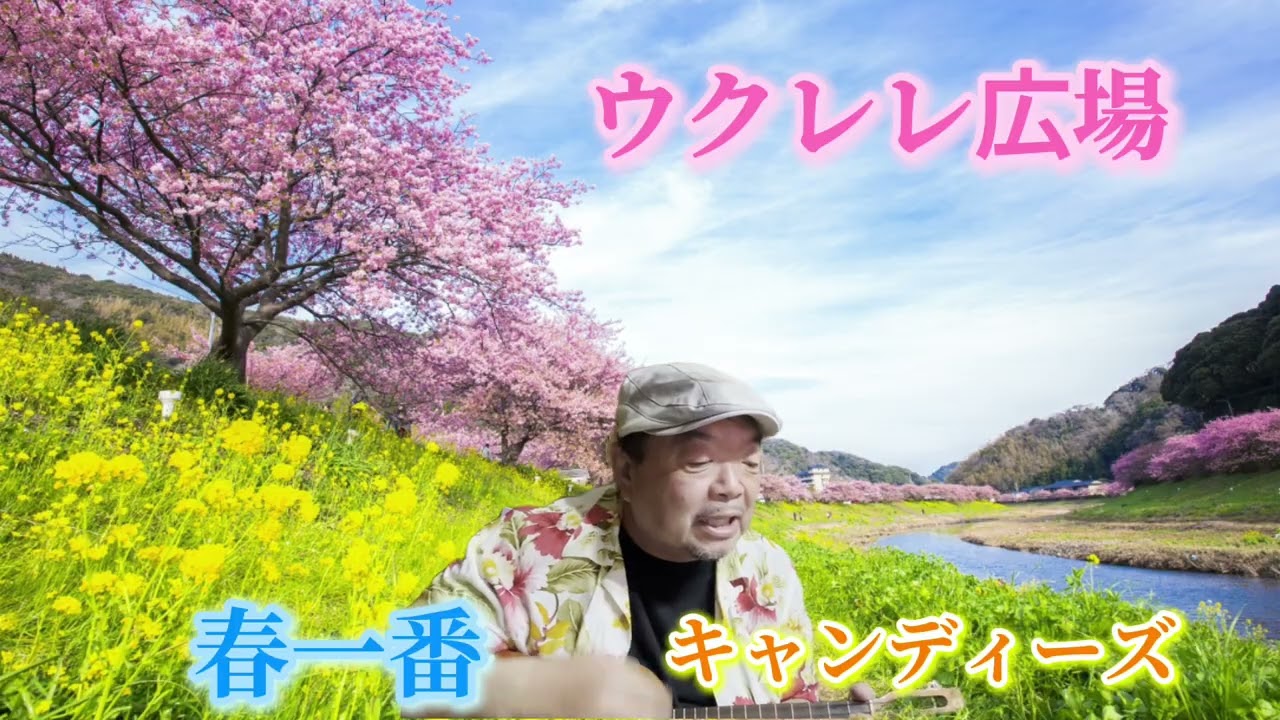 春一番／キャンディーズ｜ウクレレ弾き語り｜ウクレレ広場