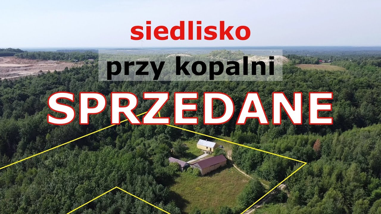SPRZEDANE - siedlisko w lesie ze źródłem stawem i strumykiem - świętokrzyskie na końcu świata