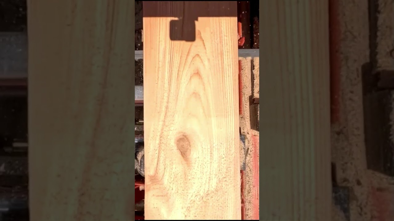 Bird's Eye View Of Some Nice Pine #shorts #sawmilling #woodmizer #sawmill #machine