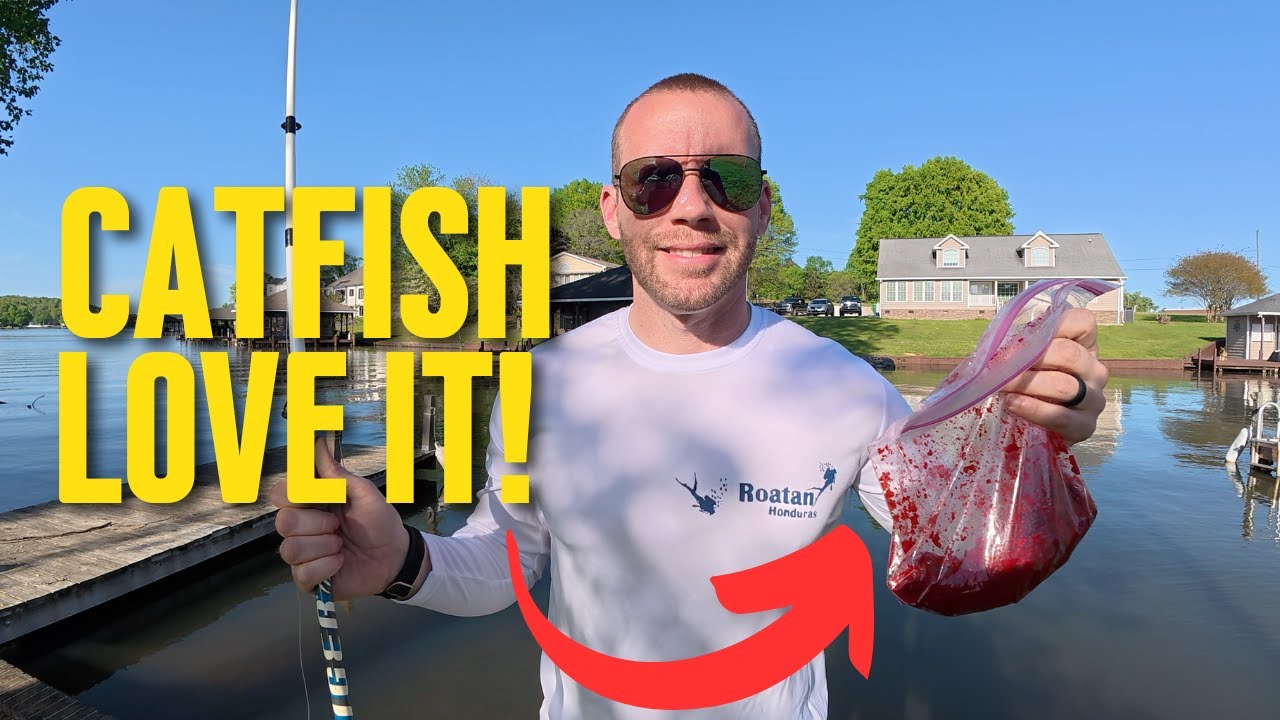 🎣This $4 Catfish Bait Is a Game Changer!
