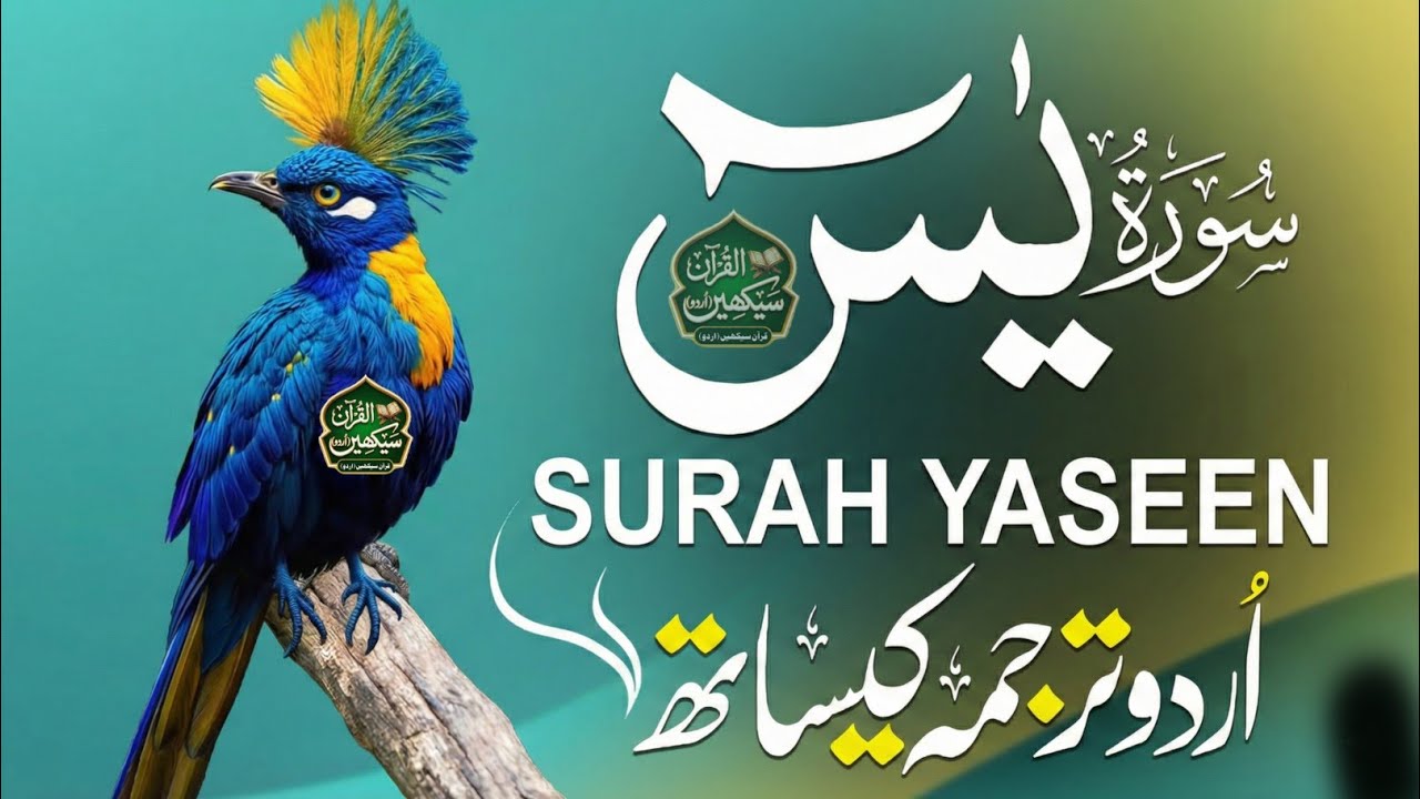 Surah Yaseen  (Surt Yasin) | Relaxing Quran Tilawat With Urdu & Hindi Tarjuma - Qari Mansoor #yasin