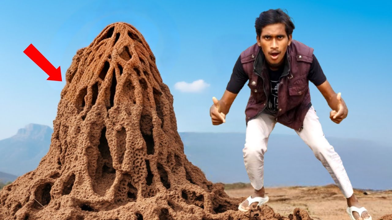 Dimak Ka Ghar Andar Se Aisa Dikhta Hai? 😱 | Termite Castle Exploration🐜