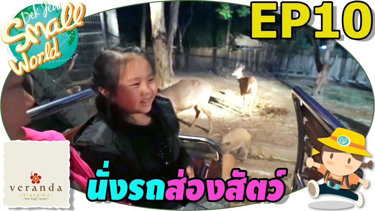 เด็กจิ๋วนั่งรถส่องสัตว์นักล่า หากินกลางคืน เชียงใหม่ไนท์ซาฟารี (วีรันดาเชียงใหม่ Ep10)