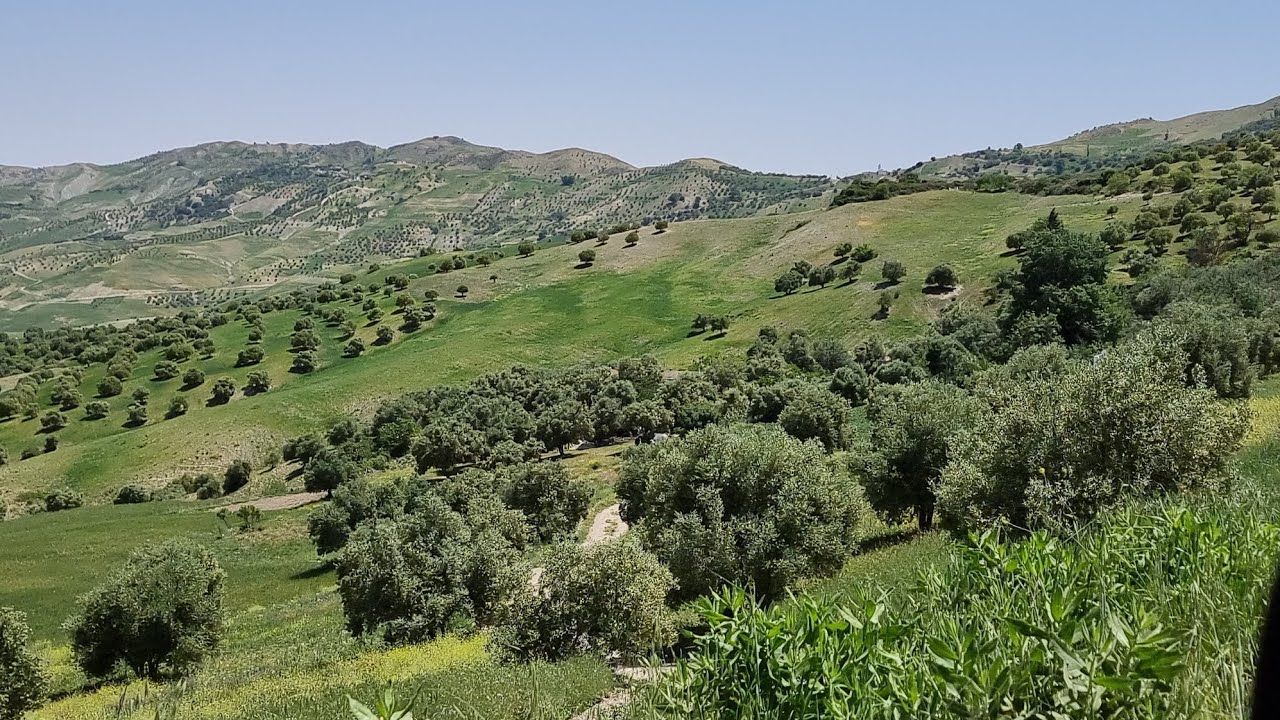 ضيعة فلاحية للبيع بحد زباير بني لنت على بعد 25 كلم من واد أمليل محفظة FERME À VENDRE 12 HECTARES