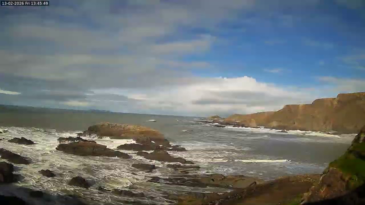 Weather & Tides - Torridge - Friday 13 February
