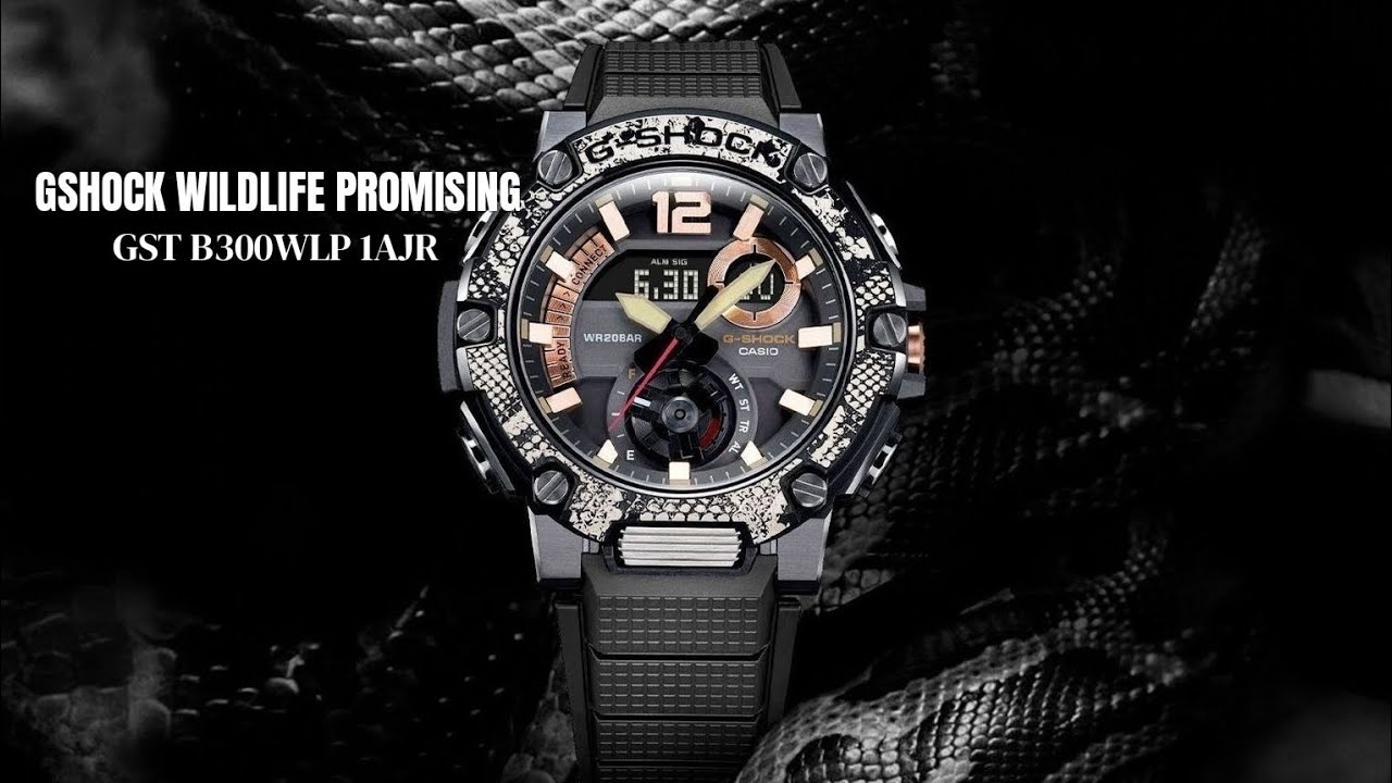 GSHOCK G-STEEL WILDLIFE PROMISING豬柳蛋推介《2020🌍GST B300WLP 1AJR停產系列 保育大自然🐍非洲岩蟒蛇主題🌞光動能藍牙200m🌊》快閃價😱HK1098