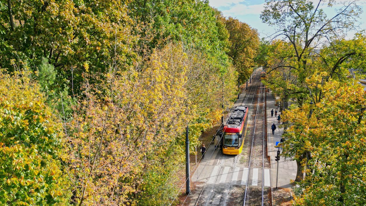 Po co piasek w tramwaju? /Bezpieczna Jesień z WTP/