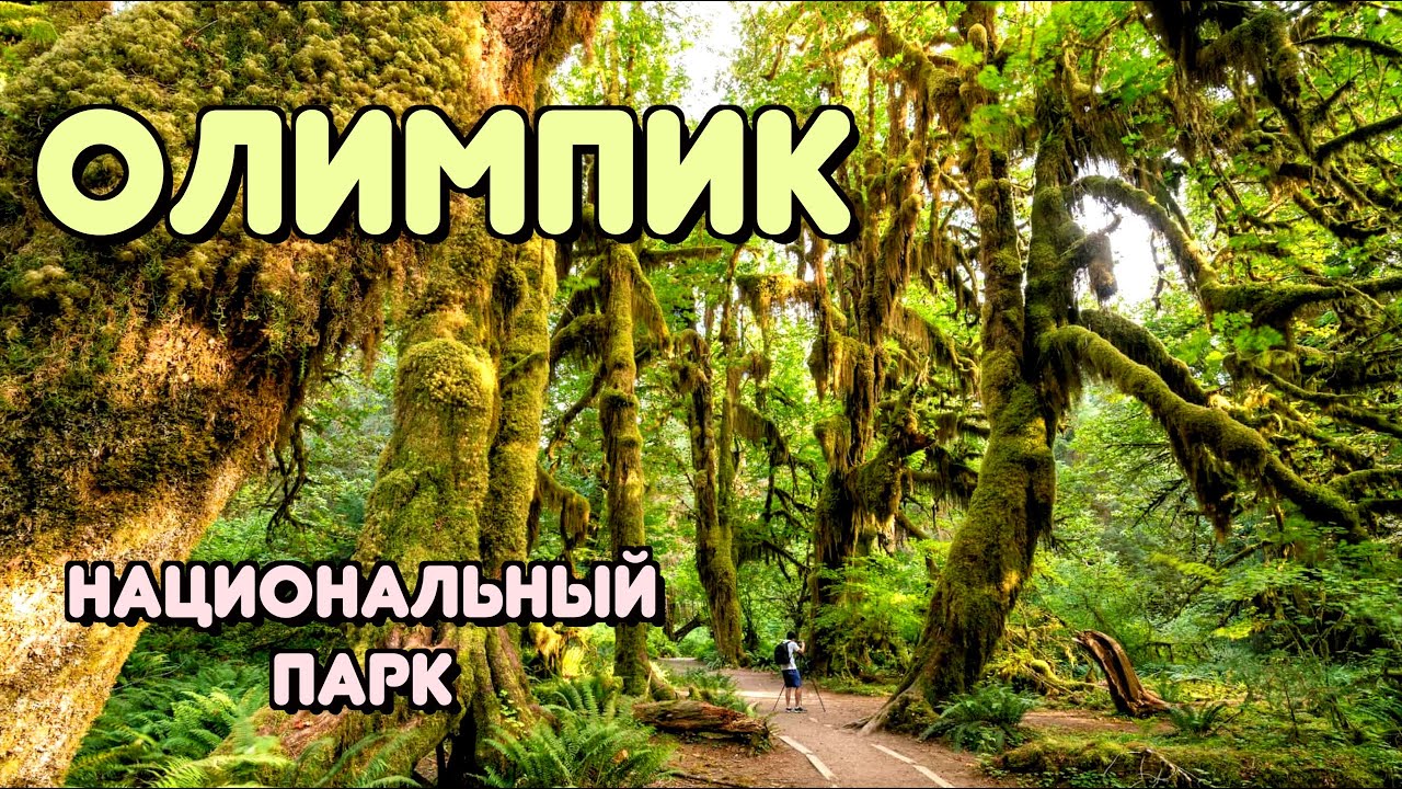 ОС #186 / Национальный Парк Олимпик / штат Вашингтон, США