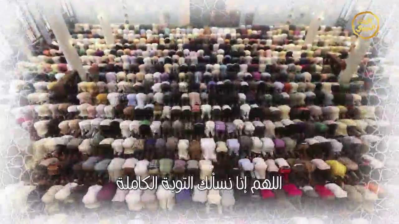 برنامج الفتاوى المباشر زدني علماً - الشيخ عمر حسين الخطيب | 4 رمضان 1447هـ