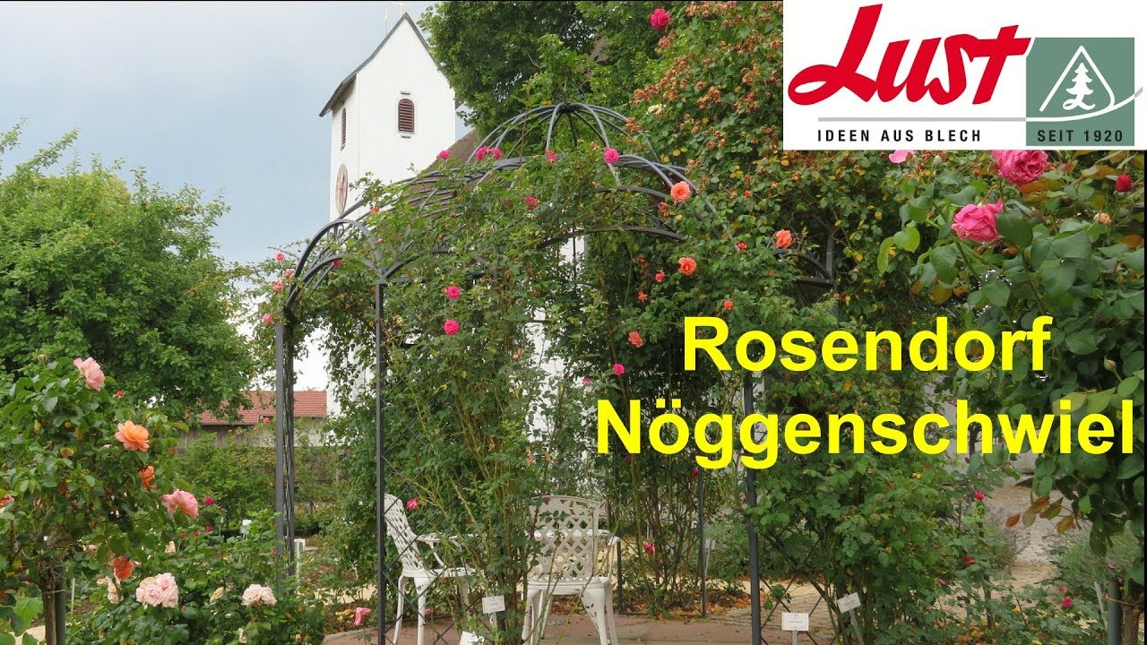 Rosendorf Nöggenschwiel 🌹 🏡 ⛰️ Gartenparadies im Südschwarzwald 🌹 🏡 ⛰️ Ausflugsziel
